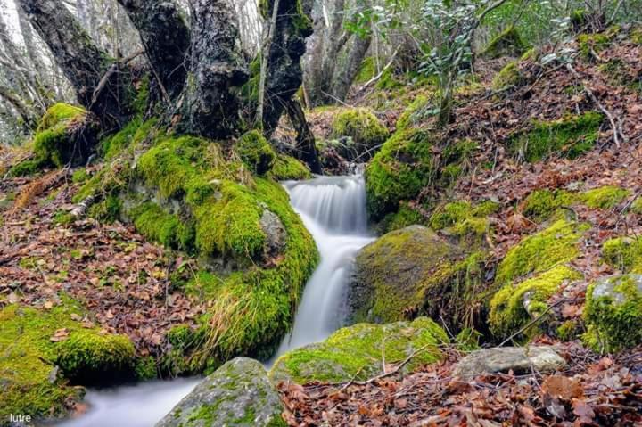 Casa Rural Las Nieves Villa San Ciprian  Bagian luar foto